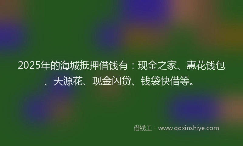 2025年的海城抵押借钱有：现金之家、惠花钱包、天源花、现金闪贷、钱袋快借等。