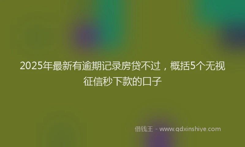 2025年最新有逾期记录房贷不过，概括5个无视征信秒下款的口子