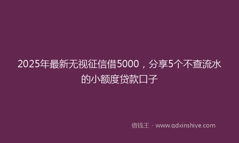 2025年最新无视征信借5000，分享5个不查流水的小额度贷款口子