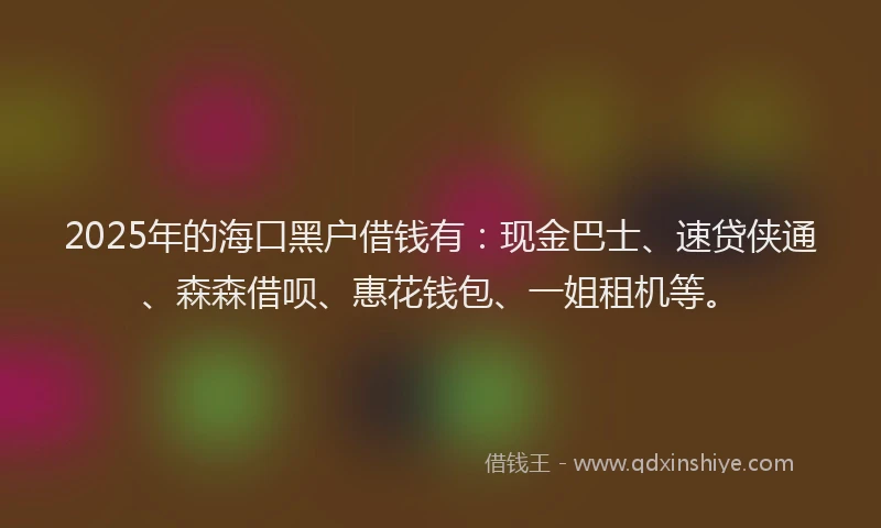 2025年的海口黑户借钱有：现金巴士、速贷侠通、森森借呗、惠花钱包、一姐租机等。