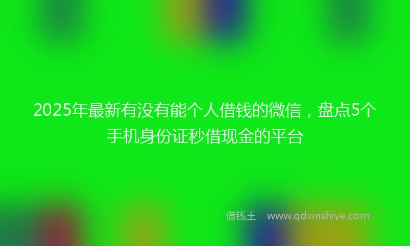 2025年最新有没有能个人借钱的微信，盘点5个手机身份证秒借现金的平台