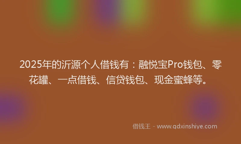 2025年的沂源个人借钱有：融悦宝Pro钱包、零花罐、一点借钱、信贷钱包、现金蜜蜂等。