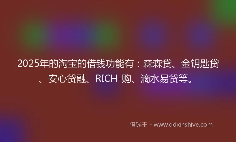 2025年的淘宝的借钱功能有：森森贷、金钥匙贷、安心贷融、RICH-购、滴水易贷等。