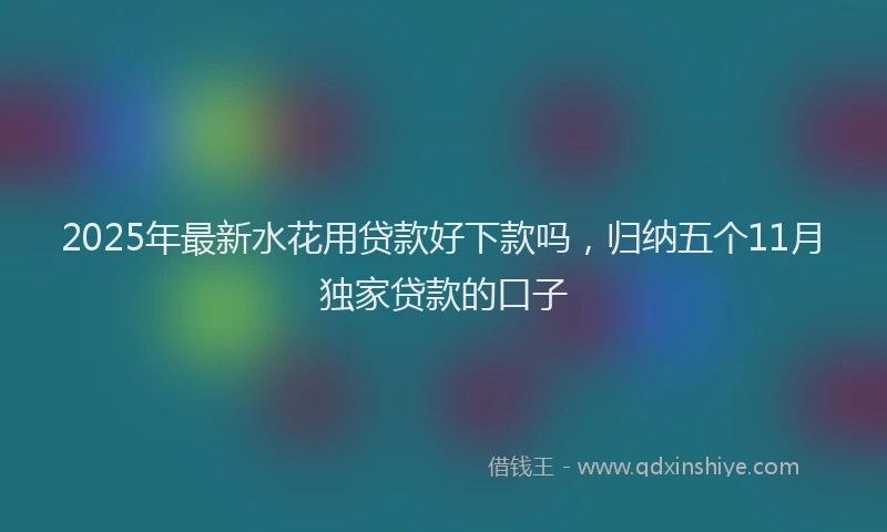 2025年最新水花用贷款好下款吗，归纳五个11月独家贷款的口子