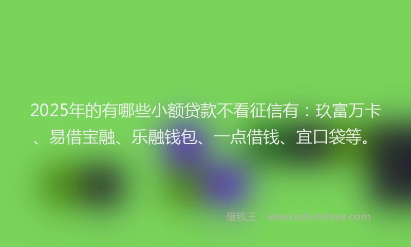 2025年的有哪些小额贷款不看征信有：玖富万卡、易借宝融、乐融钱包、一点借钱、宜口袋等。