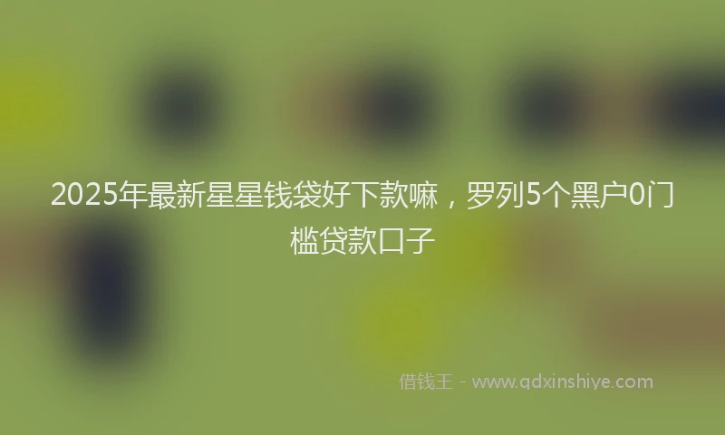 2025年最新星星钱袋好下款嘛，罗列5个黑户0门槛贷款口子