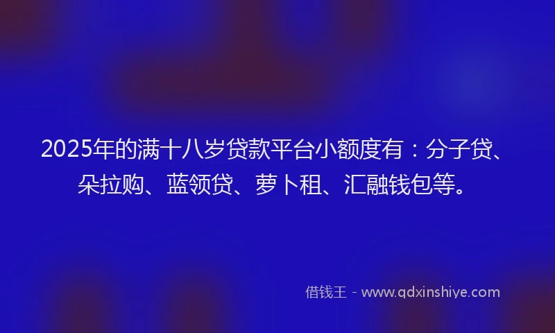 2025年的满十八岁贷款平台小额度有：分子贷、朵拉购、蓝领贷、萝卜租、汇融钱包等。