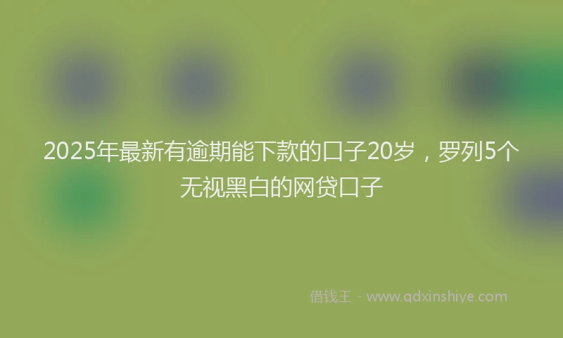 2025年最新有逾期能下款的口子20岁，罗列5个无视黑白的网贷口子