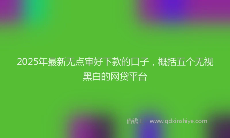 2025年最新无点审好下款的口子，概括五个无视黑白的网贷平台