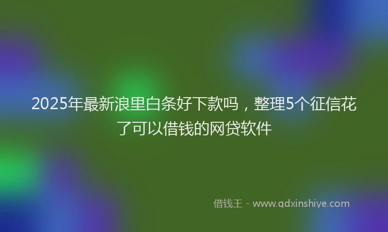 2025年最新浪里白条好下款吗，整理5个征信花了可以借钱的网贷软件