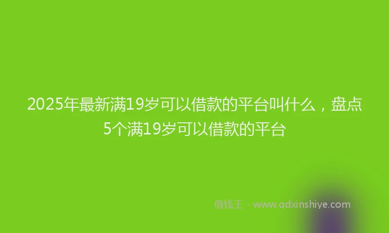 2025年最新满19岁可以借款的平台叫什么，盘点5个满19岁可以借款的平台