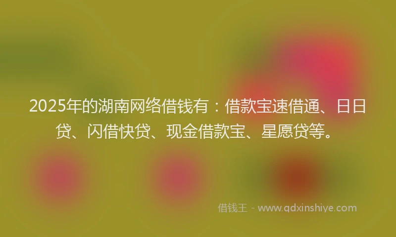2025年的湖南网络借钱有：借款宝速借通、日日贷、闪借快贷、现金借款宝、星愿贷等。