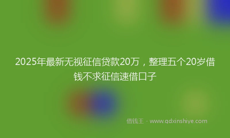 2025年最新无视征信贷款20万，整理五个20岁借钱不求征信速借口子
