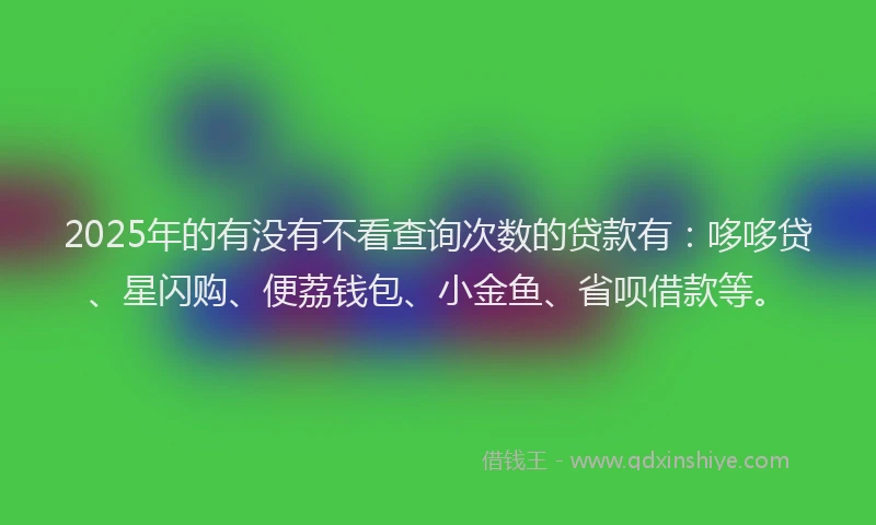 2025年的有没有不看查询次数的贷款有：哆哆贷、星闪购、便荔钱包、小金鱼、省呗借款等。