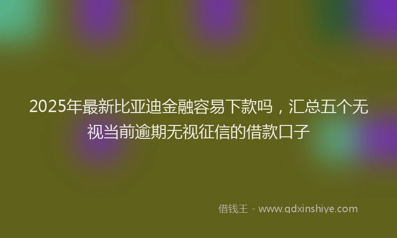 2025年最新比亚迪金融容易下款吗，汇总五个无视当前逾期无视征信的借款口子