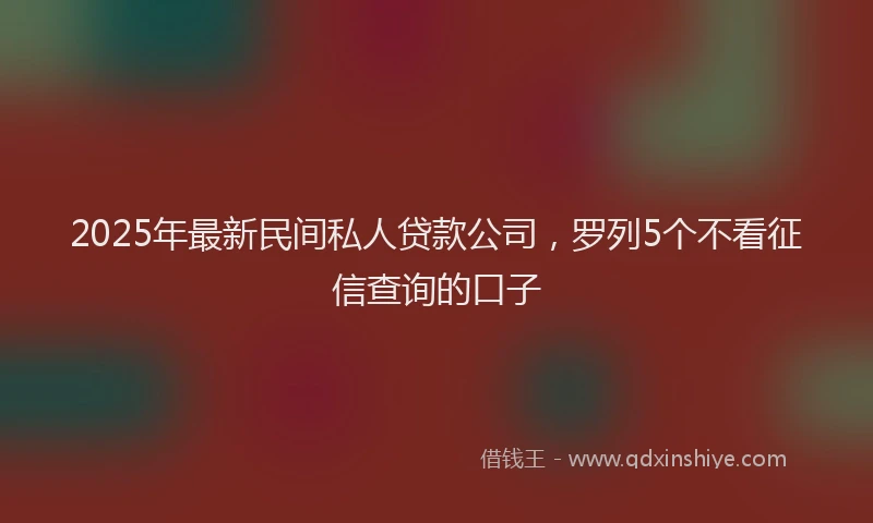 2025年最新民间私人贷款公司，罗列5个不看征信查询的口子