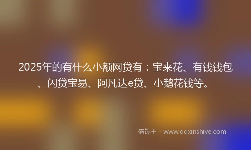 2025年的有什么小额网贷有：宝来花、有钱钱包、闪贷宝易、阿凡达e贷、小鹅花钱等。