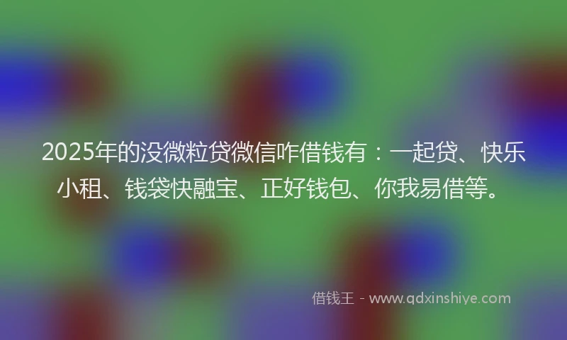 2025年的没微粒贷微信咋借钱有：一起贷、快乐小租、钱袋快融宝、正好钱包、你我易借等。