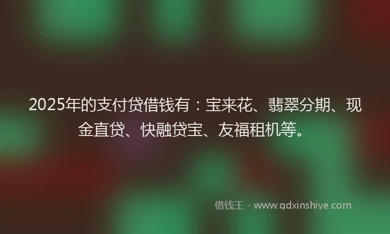 2025年的支付贷借钱有：宝来花、翡翠分期、现金直贷、快融贷宝、友福租机等。