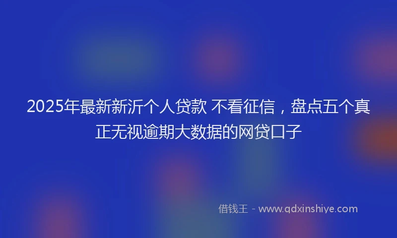 2025年最新新沂个人贷款 不看征信，盘点五个真正无视逾期大数据的网贷口子