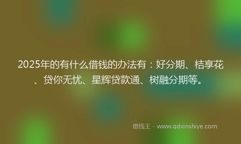2025年的有什么借钱的办法有：好分期、桔享花、贷你无忧、星辉贷款通、树融分期等。