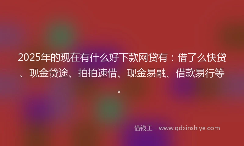 2025年的现在有什么好下款网贷有：借了么快贷、现金贷途、拍拍速借、现金易融、借款易行等。