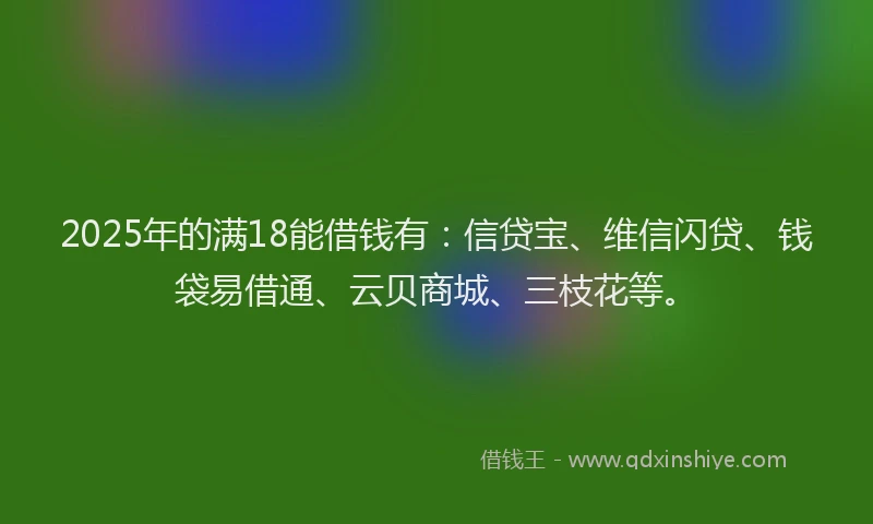 2025年的满18能借钱有：信贷宝、维信闪贷、钱袋易借通、云贝商城、三枝花等。