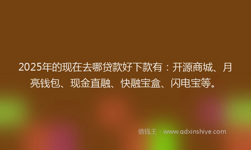 2025年的现在去哪贷款好下款有：开源商城、月亮钱包、现金直融、快融宝盒、闪电宝等。