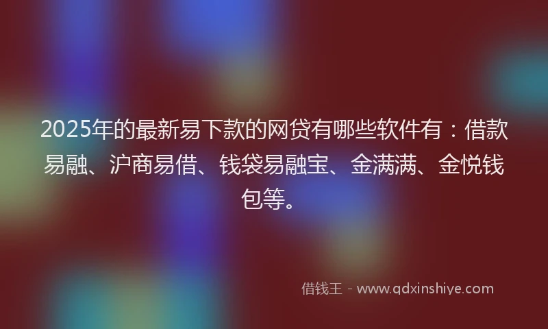 2025年的最新易下款的网贷有哪些软件有：借款易融、沪商易借、钱袋易融宝、金满满、金悦钱包等。