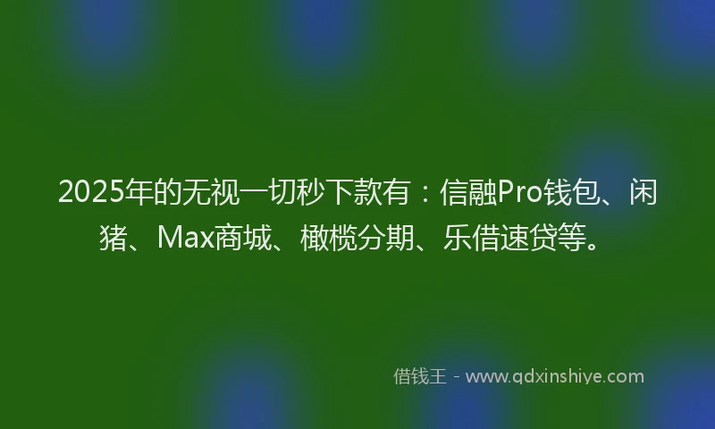 2025年的无视一切秒下款有：信融Pro钱包、闲猪、Max商城、橄榄分期、乐借速贷等。
