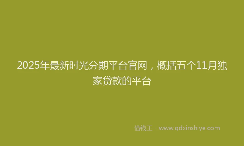 2025年最新时光分期平台官网，概括五个11月独家贷款的平台