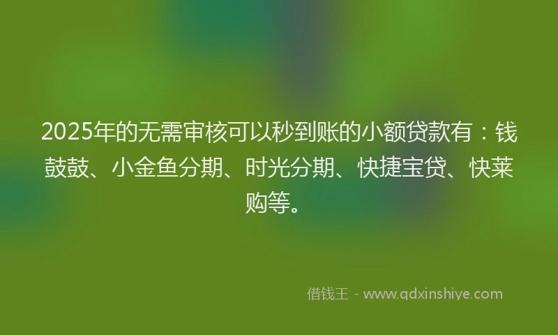 2025年的无需审核可以秒到账的小额贷款有：钱鼓鼓、小金鱼分期、时光分期、快捷宝贷、快莱购等。