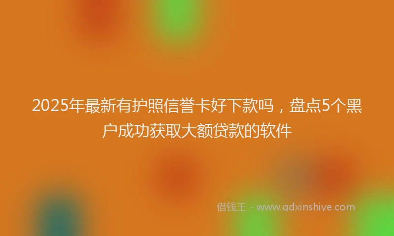 2025年最新有护照信誉卡好下款吗，盘点5个黑户成功获取大额贷款的软件