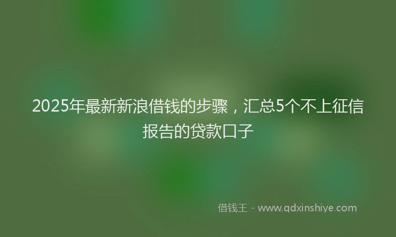 2025年最新新浪借钱的步骤，汇总5个不上征信报告的贷款口子