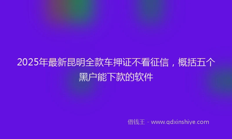 2025年最新昆明全款车押证不看征信，概括五个黑户能下款的软件