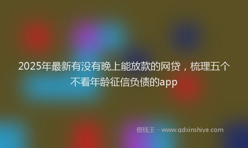 2025年最新有没有晚上能放款的网贷，梳理五个不看年龄征信负债的app