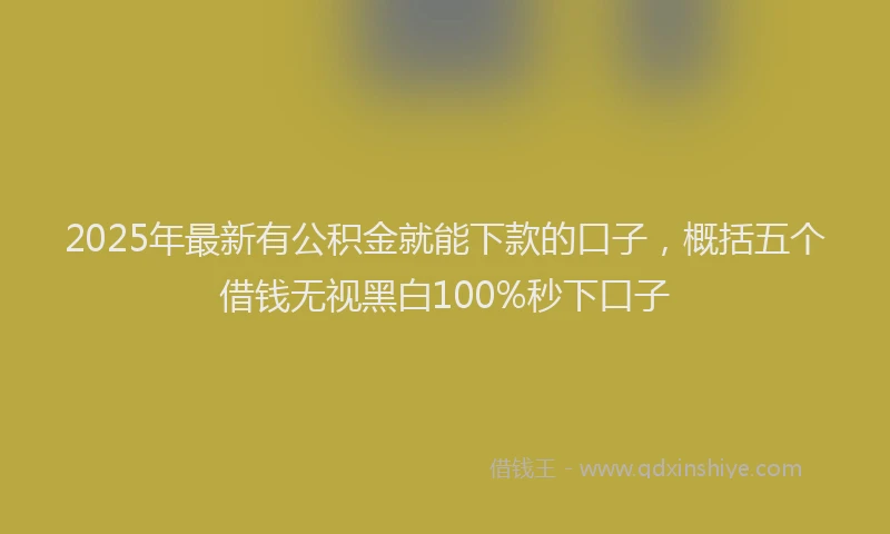 2025年最新有公积金就能下款的口子，概括五个借钱无视黑白100%秒下口子