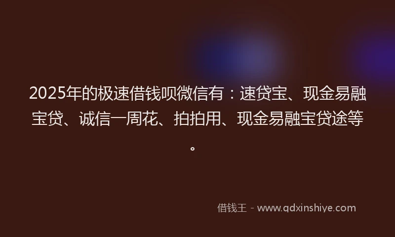 2025年的极速借钱呗微信有：速贷宝、现金易融宝贷、诚信一周花、拍拍用、现金易融宝贷途等。