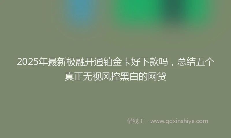 2025年最新极融开通铂金卡好下款吗，总结五个真正无视风控黑白的网贷