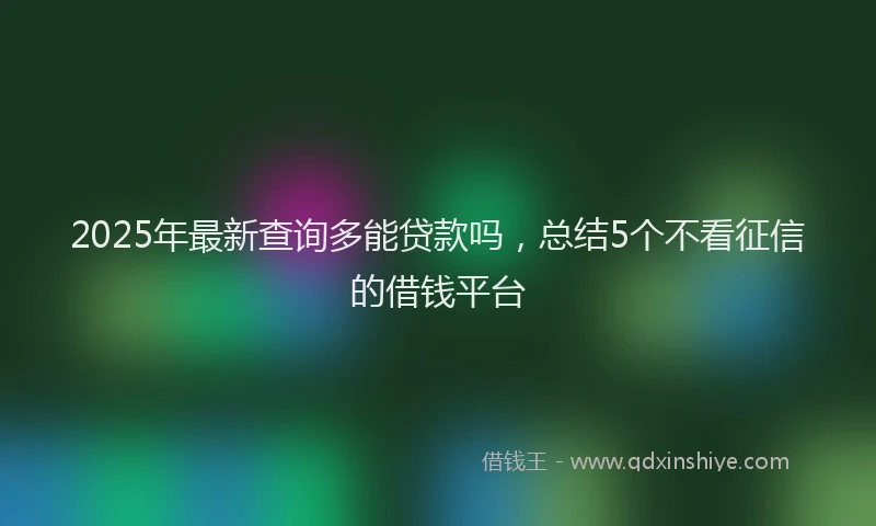 2025年最新查询多能贷款吗，总结5个不看征信的借钱平台