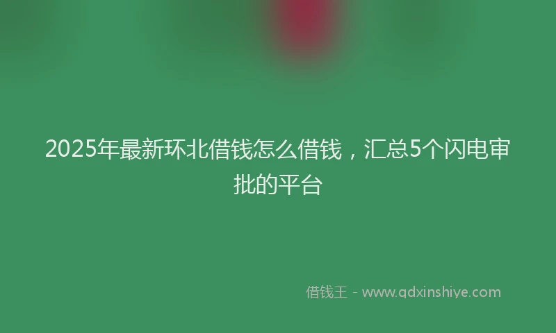 2025年最新环北借钱怎么借钱，汇总5个闪电审批的平台