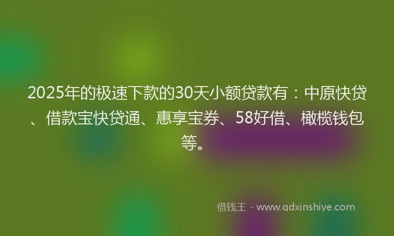 2025年的极速下款的30天小额贷款有：中原快贷、借款宝快贷通、惠享宝券、58好借、橄榄钱包等。