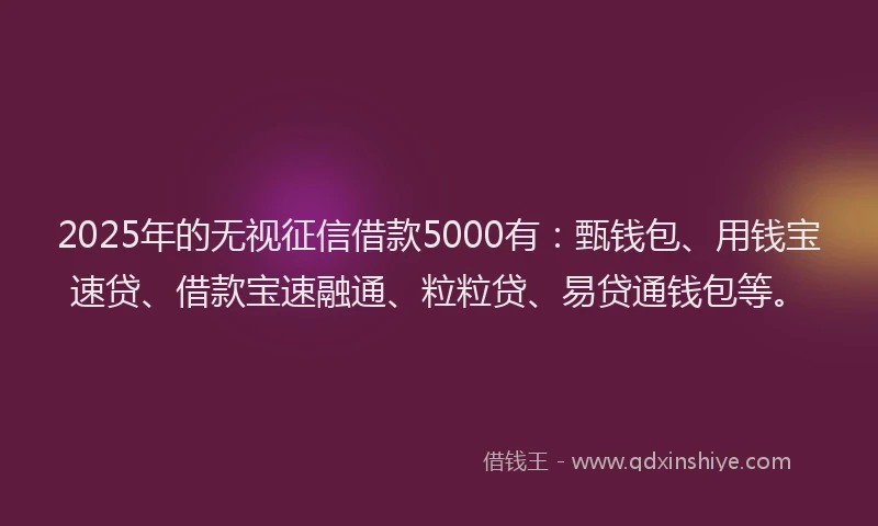 2025年的无视征信借款5000有：甄钱包、用钱宝速贷、借款宝速融通、粒粒贷、易贷通钱包等。