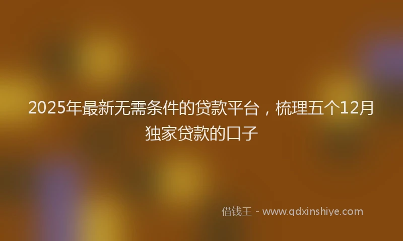 2025年最新无需条件的贷款平台，梳理五个12月独家贷款的口子