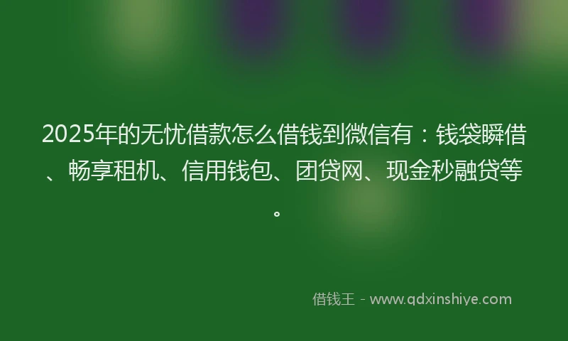 2025年的无忧借款怎么借钱到微信有：钱袋瞬借、畅享租机、信用钱包、团贷网、现金秒融贷等。