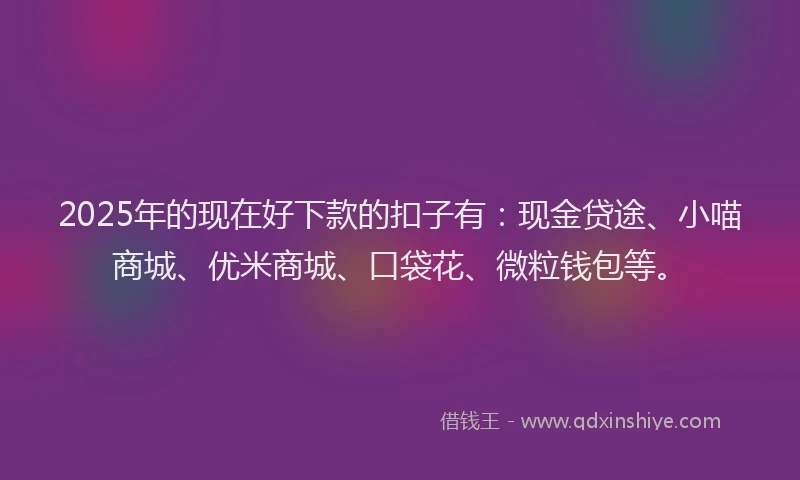 2025年的现在好下款的扣子有：现金贷途、小喵商城、优米商城、口袋花、微粒钱包等。
