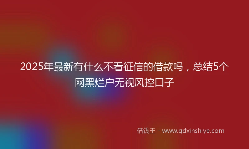 2025年最新有什么不看征信的借款吗，总结5个网黑烂户无视风控口子