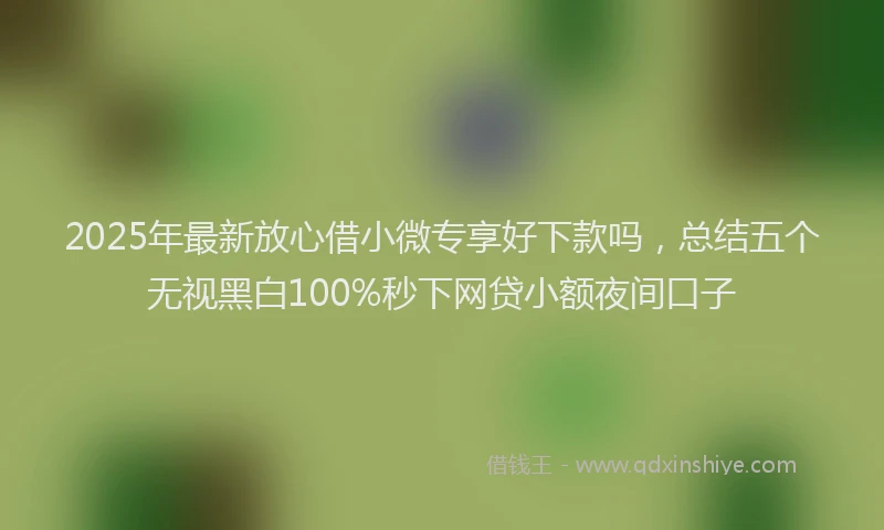 2025年最新放心借小微专享好下款吗，总结五个无视黑白100%秒下网贷小额夜间口子