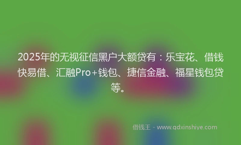 2025年的无视征信黑户大额贷有：乐宝花、借钱快易借、汇融Pro+钱包、捷信金融、福星钱包贷等。
