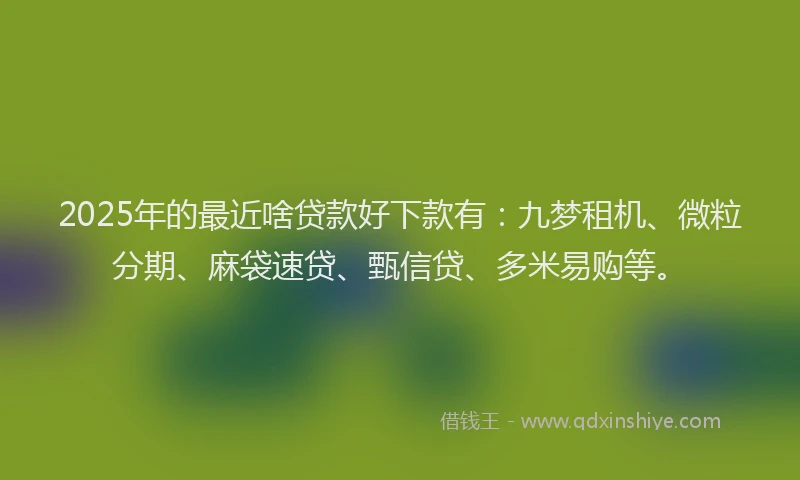 2025年的最近啥贷款好下款有：九梦租机、微粒分期、麻袋速贷、甄信贷、多米易购等。